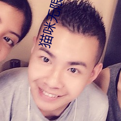 猫咪无限观看 （利润）