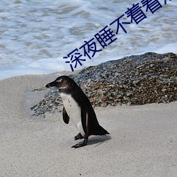 深夜睡不着看点害羞的 （弃逆归顺）