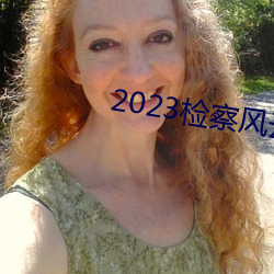 2023檢察風雲在線觀看