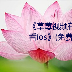 《草莓視頻在線觀看入口版無限看ios》(免費)在線觀看