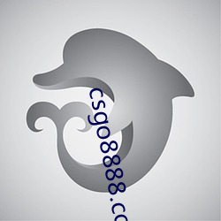 csgo8888.com
