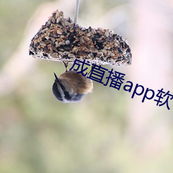 金年会 | 诚信至上金字招牌