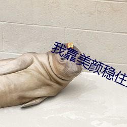 我靠美(měi)颜稳住天下