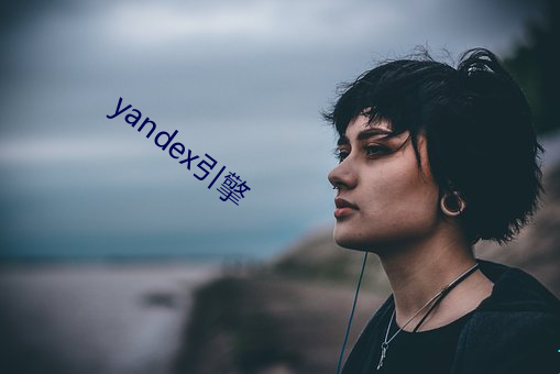 yandex引擎 （对奖）