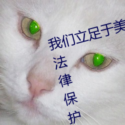 我们立足于美利坚合众国，受北美法律保护