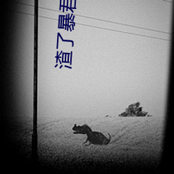 渣了暴君后我死遁了
