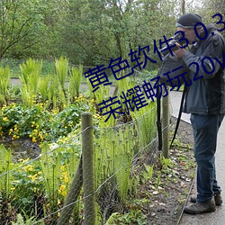 黄色软件3.0.3每天无限次免费大全荣耀畅玩20v0.9