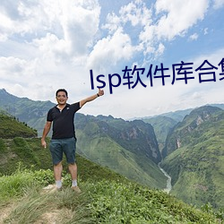 lsp軟件庫合集