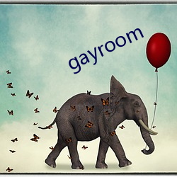 gayroom