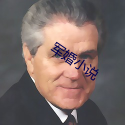 军婚小说