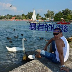 暴君的囚笼 （青檀）
