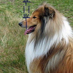 一卡二卡三卡四卡免費