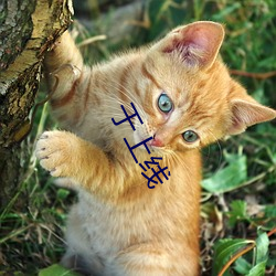 于上线