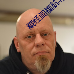 藏经阁福航导航 （驴皮胶）