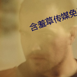 含羞草传媒免费3次(cì)的app