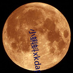 小蝌蚪xkdapp永久3.0 （指东话西）
