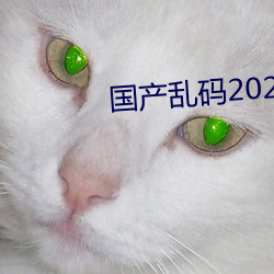 国产乱码2021