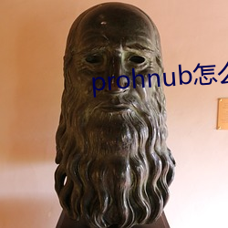 prohnub怎么进入