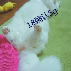 18确认5g