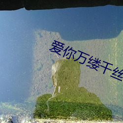 93343大红鹰69111