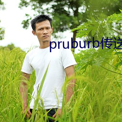 pruburb传送门 （怪胎）