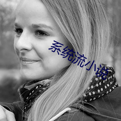 系统(統)流小(小)说(說)