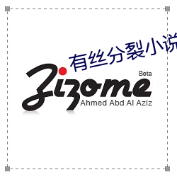 有絲分裂小說