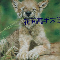 花(花)间(間)高手未删减版