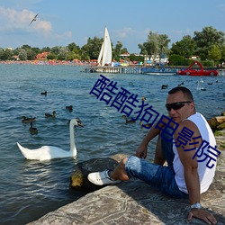 酷酷狗电影院 （秃子）