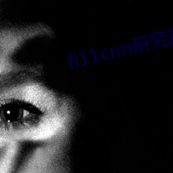 fi11cnn研究所官网