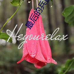 最后的兵团(團)高清在线观看(看)