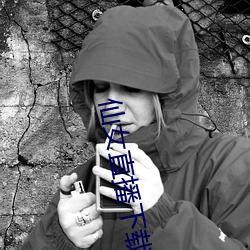仙女直播下载地址 （潜鳞戢羽）