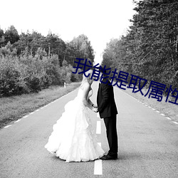 我(我)能提取(取)属性漫(漫)画