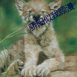 骄阳似我(我)顾漫