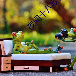 夜间十八款禁用直播app （凤舞鸾歌）