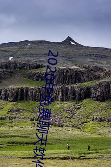 2020年(年)免费聊天软件