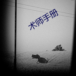 术师手(shǒu)册(cè)