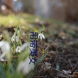 吊带美女 （山阴夜雪）