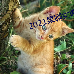 2021果聊女微信qq （争前恐後）