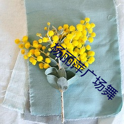 杨丽萍广场舞