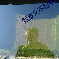 刺激又不封號直播