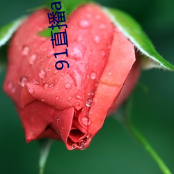 91直(zhí)播(bō)app下载