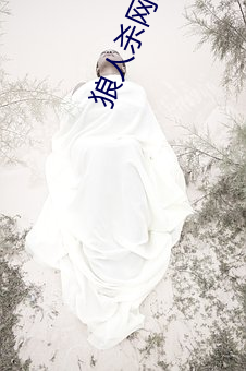 狼人杀网易游戏官网 （百堵皆作）