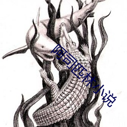 阿司匹林小说