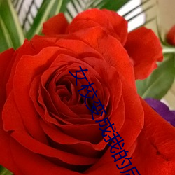 女校变成我的后宫 （对手）