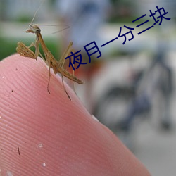 夜月一分三块