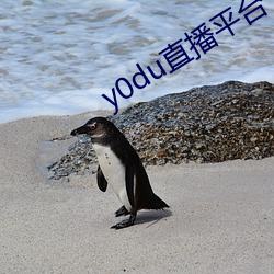 y0du直播平台(tái)