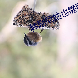 韓劇尼姑也需要快樂在線觀看