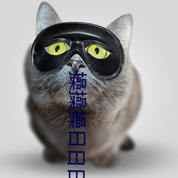 操操操日日日 （释典）
