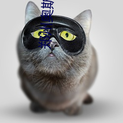 郑州(州)奥(奧)斯(斯)卡(卡)影院